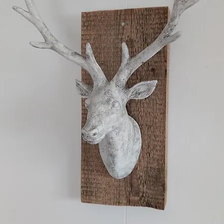 Casa14 - Swiss * Steffisburg