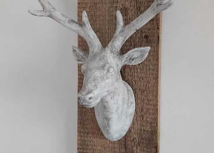 Casa14 - Swiss * Steffisburg